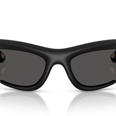 Burberry Sunglasses (0BE4462 418687 64)