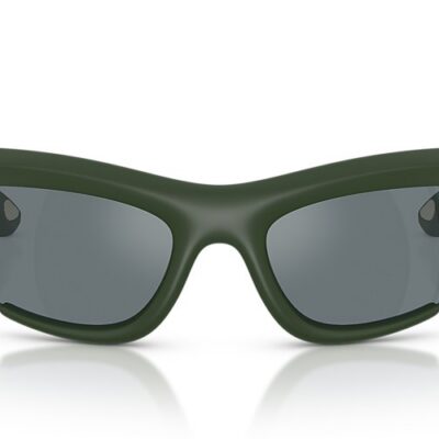 Burberry Sunglasses (0BE4462 41876G 64)
