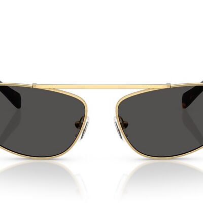 Michael Kors Sunglasses (0MK1164 189687 60)