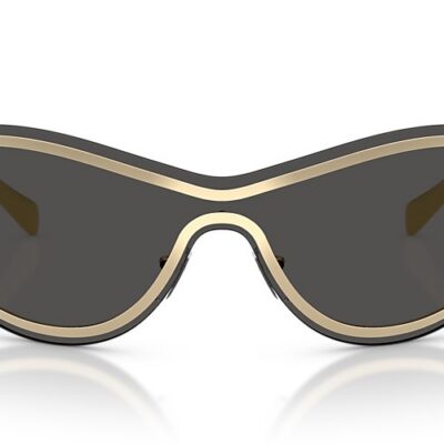 Michael Kors Sunglasses (0MK1166 101487 38)