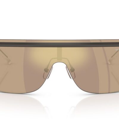 Michael Kors Sunglasses (0MK1169 10027P 45)
