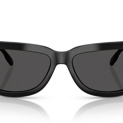 Michael Kors Sunglasses (0MK2226 300587 72)