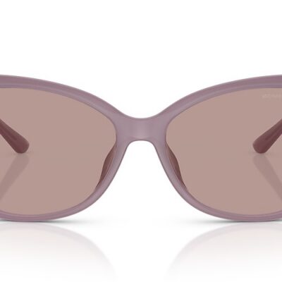 Michael Kors Sunglasses (0MK2230U 40057N 56)