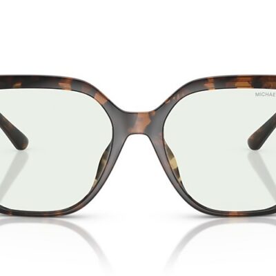 Michael Kors Sunglasses (0MK2231U 3006M1 54)