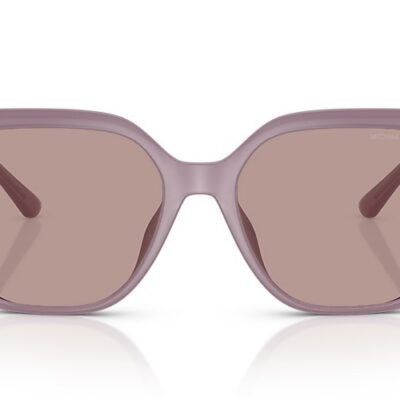 Michael Kors Sunglasses (0MK2231U 40057N 54)
