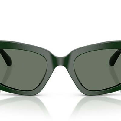 Michael Kors Sunglasses (0MK2234B 40063H 50)