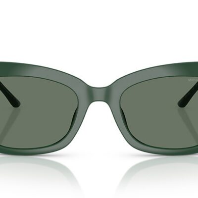 Michael Kors Sunglasses (0MK2237U 40063H 52)