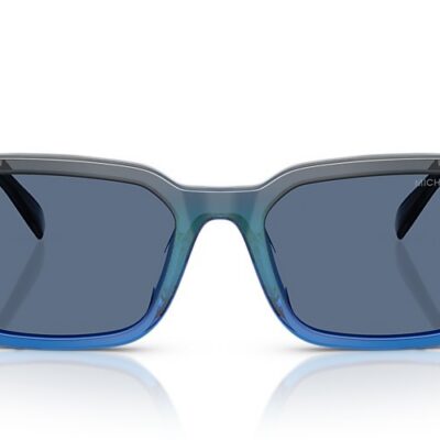 Michael Kors Sunglasses (0MK2250U 401180 58)