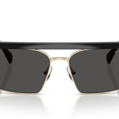 Michael Kors Sunglasses (0MK2261 300587 59)