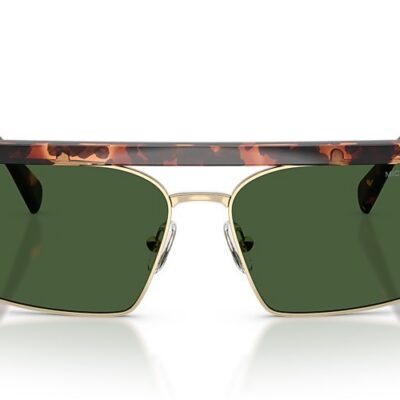 Michael Kors Sunglasses (0MK2261 300671 59)