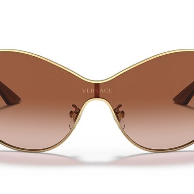 Versace Sunglasses (0VE2239 100213 47)