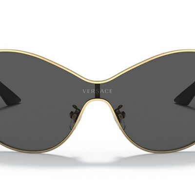 Versace Sunglasses (0VE2239 100287 47)