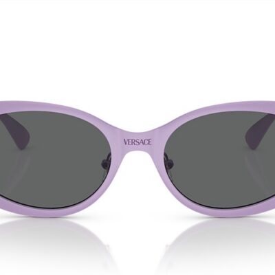 Versace Sunglasses (0VE2263 150287 56)