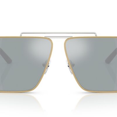 Versace Sunglasses (0VE2266 15141U 64)
