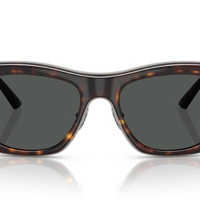 Versace Sunglasses (0VE2272 10887 53)