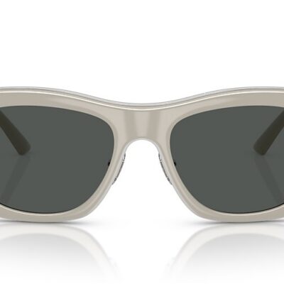 Versace Sunglasses (0VE2272 549387 53)