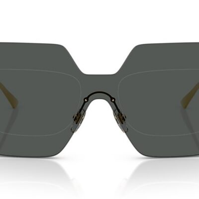 Versace Sunglasses (0VE2277 100287 42)