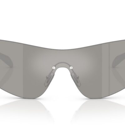 Versace Sunglasses (0VE2280 10006G 42)