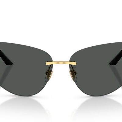 Versace Sunglasses (0VE2281 100287 64)