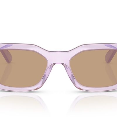 Versace Sunglasses (0VE4361 552663 53)