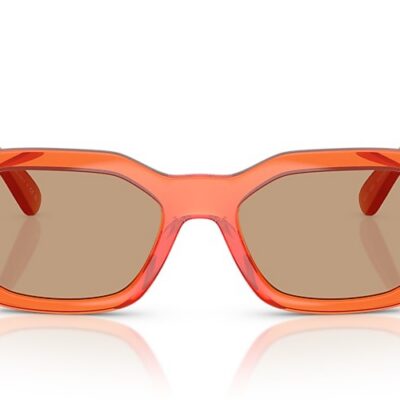 Versace Sunglasses (0VE4361 552763 53)