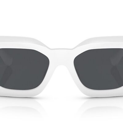 Versace Sunglasses (0VE4425U 31487 54)