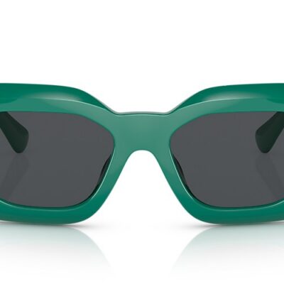 Versace Sunglasses (0VE4425U 536487 54)