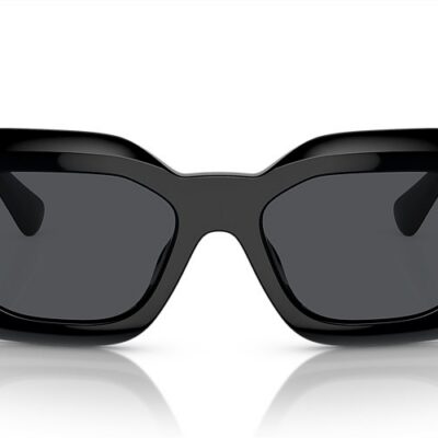 Versace Sunglasses (0VE4425U 542287 54)