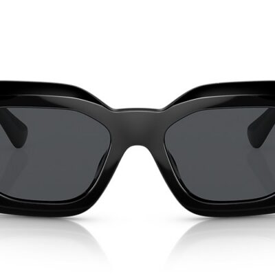 Versace Sunglasses (0VE4425U GB187 54)