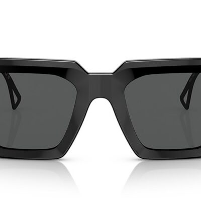 Versace Sunglasses (0VE4431 538087 50)