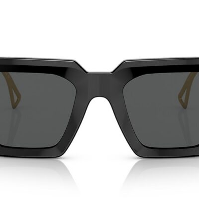 Versace Sunglasses (0VE4431 GB187 50)