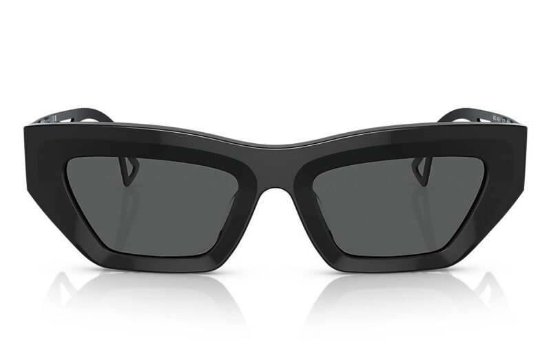 Versace Sunglasses (0VE4432U 523287 53) Versace Sunglasses (0VE4432U 523287 53)