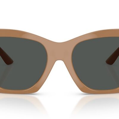 Versace Sunglasses (0VE4452 551787 55)
