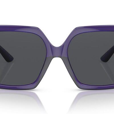 Versace Sunglasses (0VE4453 541987 56)