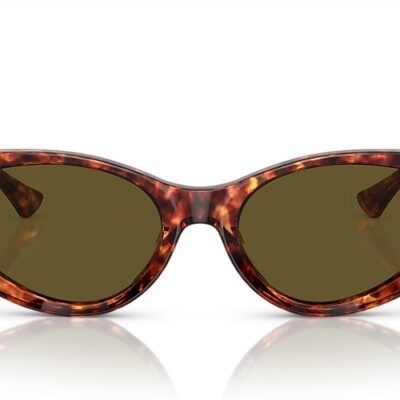 Versace Sunglasses (0VE4454 543773 55)