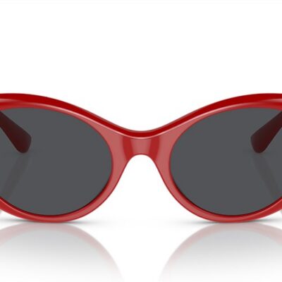 Versace Sunglasses (0VE4455U 534487 53)