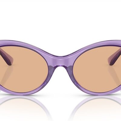 Versace Sunglasses (0VE4455U 53533 53)