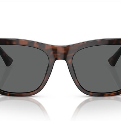 Versace Sunglasses (0VE4457 542987 55)