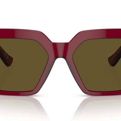Versace Sunglasses (0VE4458 543073 54)