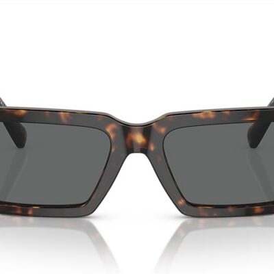 Versace Sunglasses (0VE4459F 10887 54)