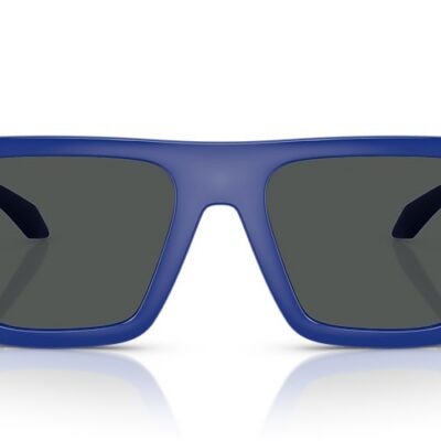 Versace Sunglasses (0VE4468U 545087 53)
