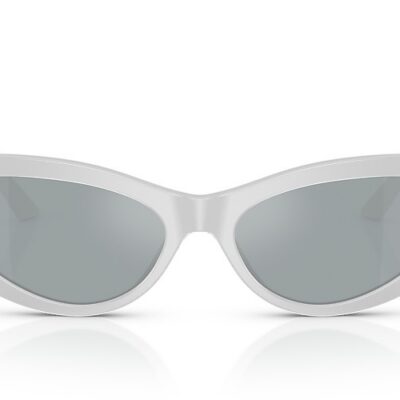 Versace Sunglasses (0VE4470B 54741U 56)