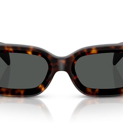 Versace Sunglasses (0VE4474U 10887 52)