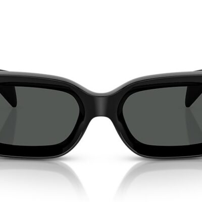 Versace Sunglasses (0VE4474U GB187 52)
