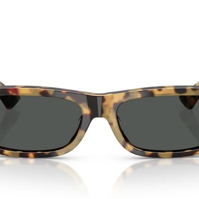 Versace Sunglasses (0VE4476U 77787 55)