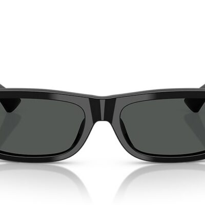 Versace Sunglasses (0VE4476U GB187 55)
