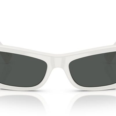 Versace Sunglasses (0VE4481 31487 54)