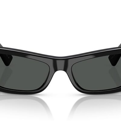 Versace Sunglasses (0VE4481 GB187 54)