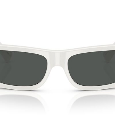 Versace Sunglasses (0VE4482 31487 57)