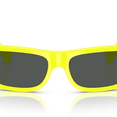 Versace Sunglasses (0VE4482 544987 57)